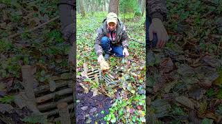 trap bushcraft trapping trap survival [upl. by Stetson449]