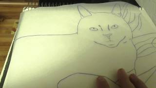 Using Tracing Paper To Transfer A Cat Drawing On To Canvas [upl. by Cuyler]