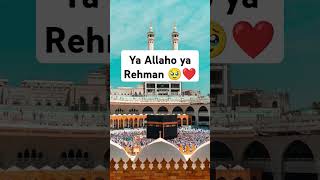 Ya Allaho ya Rehman 🥹❤️trending muhammad madina viralvideos shorts freepalestine🇵🇸 [upl. by Cristi]