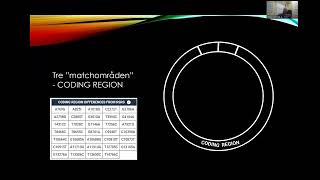 mtDNA  20241121 [upl. by Hayton]