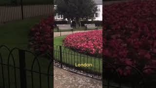 Southend sea in London very beautiful garden by the seaside today weather was cold so I was cussing [upl. by Premer]