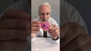 Impression Video for Denture Relines and Repairs [upl. by Gnav234]