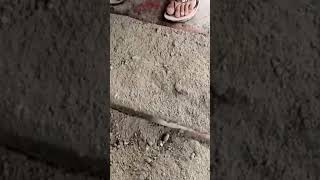 Tile making processing mini shortvirle short video 📸 youtuberyoutube short video subscribelike [upl. by Skipton]