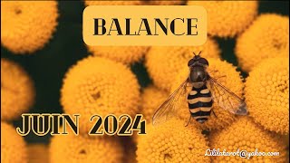 BALANCE 🐝 JUIN 2024 [upl. by Nnylirehs354]