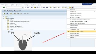 SAP quick text copy and paste function [upl. by Lear235]