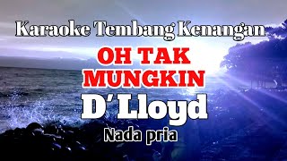 OH TAK MUNGKIN  Dlloyd  Karaoke nada pria  Lirik [upl. by Amadis998]