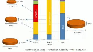 SmectiteandIllite [upl. by Eidnim991]