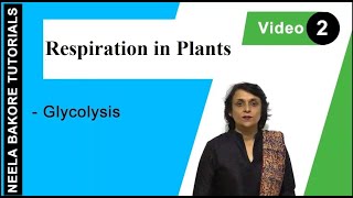 Respiration in Plants  NEET  Glycolysis  Neela Bakore Tutorials [upl. by Tooley126]