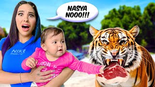 NASYA POR PRIMERA VEZ EN UN ZOOLÓGICO Alimento animales salvajes 😰 [upl. by Aeriel858]