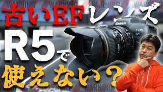 【EOS R5】古いEFレンズとRFレンズでAFと手振れ補正の検証をしてみた。【キヤノン・canon・r5・eos】 [upl. by Relyuc378]