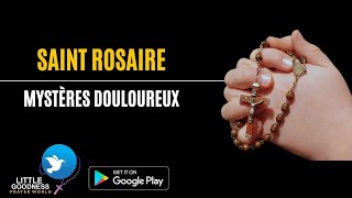 SAINT ROSAIREMystères Douloureux HOLY ROSARY IN FRENCHSorrowful MysteriesTuesday amp Friday Rosary [upl. by Osicnarf]