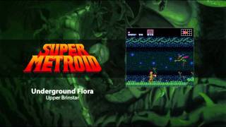 quotUnderground Floraquot  Upper Brinstar Arranged  Super Metroid [upl. by Ikkiv]