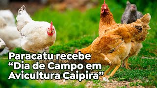 Paracatu recebe “Dia de Campo em Avicultura Caipira” [upl. by Bein]