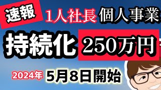 緊急速報・1人社長・個人事業主・中小企業・持続化補助金・小規模事業者持続化補助金・対象２０２４年版５月８日募集開始・１人社長も２００万円・５０万円・２５０万円公募【マキノヤ先生】第1787回 [upl. by Ailuig]