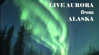 LIVE Alaska Aurora Live Stream Sep Oct 56 2024 [upl. by Notac]