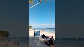 Bohol Vacation  Alona Beach Panglao Island Bohol Philippines travel beach shorts shortvideo [upl. by Tterab]