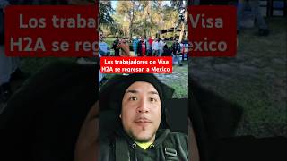 Migrantes con Visa H2A regresan a Mexico despues de terminarse la temporada de trabajo en florida [upl. by Muire490]