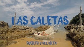 Descubre Playa Las Caletas Puerto Vallarta con Nosotros Nadamos con Leones Marinos [upl. by Sophi]