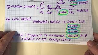 Sa ATP Prodhon Oksidimi i Plote i Glukozes [upl. by Parshall845]