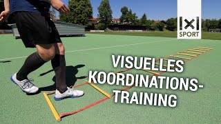 Visuelles Koordinationstraining  Dynamic Body Control TRAILER [upl. by Adnoek]