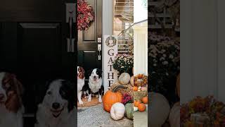 🍁 2024 Fall Decorating Ideas for Front Yard to Add Autumn Warmth and Outdoor Charm [upl. by Nlocnil634]