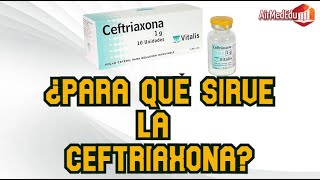 ¿Para qué Sirve la Ceftriaxona [upl. by Harak]