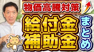 【7月度 物価高騰 給付金・補助金まとめ】最大20万円等 都道府県別 LPガス値引き 家庭・企業 水道光熱費・燃料費 補助 個人事業主・小規模向け 貨物運送事業者等〈24年7月時点〉 [upl. by Nnalatsyrc]