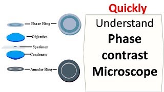 Phase contrast microscope [upl. by Ahsaeym]