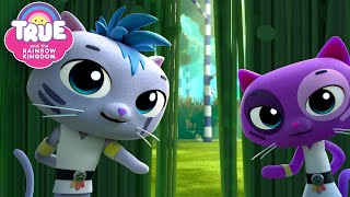 Secret Ninja Cat Dojo 😼🥋 6 FULL EPISODES 🌈 True and the Rainbow Kingdom 🌈 [upl. by Burns]