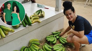 QUANTAS DÚZIAS DEU O CACHO DE BANANA 😱 NOSSA CEIA DE NATAL [upl. by Joan139]