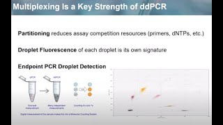 Advanced ddPCR Concepts Radial Multiplexing [upl. by Herrick610]