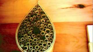 Mason Bee House Time Lapse [upl. by Suqram]