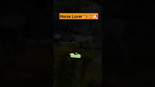 Horse video grapheyhorse riding in cool weathershorts animals horse weather [upl. by Nuarb]