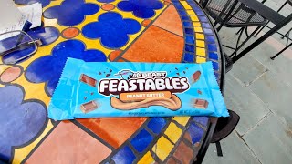 1st Time Trying FEASTABLES Peanut Butter Chocolate 🍫 🤔 😳 [upl. by Notsua]