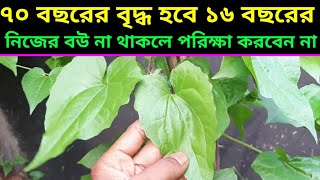 হীরার থেকেও মূল্যবান এই গাছhealth benefits of Pakistani lota [upl. by Naesad645]