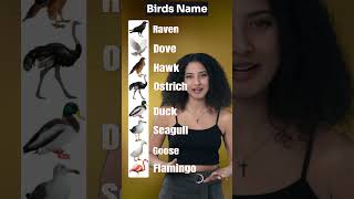 Birds Names in English Bird Names List for Kids and Adults  Birds and Their English Names esl [upl. by Niatsirhc]