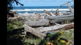 S5E1 Washington State Gold Mining Benson Beach with Pete [upl. by Yssor]