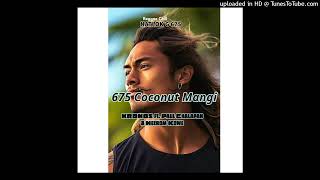 675 Coconut Mangi  KRONOS ft Paul Chalapan amp Hezrom KoweNATLOK Reggae Chill 2024 2 [upl. by Chrisman932]