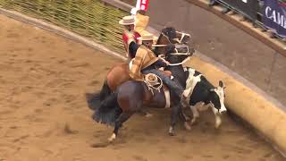 RODEO EN VIVO 36 SERIE CRIADEROS 2018 [upl. by Buatti248]