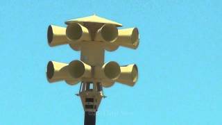 Sterling Colorado Siren Test  Sentry Siren 15V2T [upl. by Jeana]