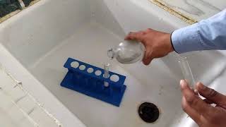 Salt anylisis test for Carbonate ionCO32 [upl. by Anaeg]