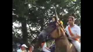 Belgian Draft Horses and Dutch Draft Horses  ringsteken in Middelburg [upl. by Acinoreb579]