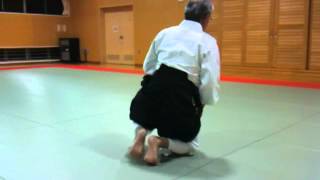 Shikko Knee Walking Forward Aikido Demonstration [upl. by Oneg405]