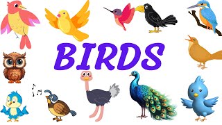 60 Birds Names with Pictures and Spellings for Toddlers Children and Kids  Joy Kids [upl. by Alvan]