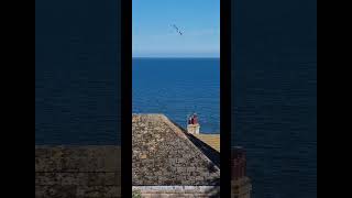 Filey Filey seaside northyorkshire [upl. by Mcguire947]