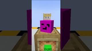 Minecraft zgadnij youtubera 2 [upl. by Fonda284]