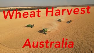 Australian Wheat Harvest 2023 QLD [upl. by Lek493]