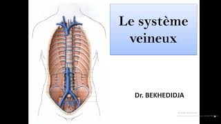 le système veineux  cours anatomie num 7 [upl. by Nraa981]