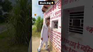 Blace Dogcomedy no cute No 1 Haryanvi [upl. by Norward]