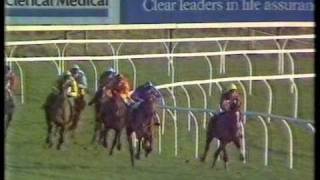 1987 Hennessy Cognac Gold Cup Handicap Chase [upl. by Jonna]